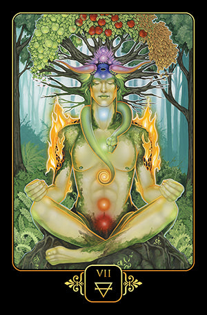 Dreams of Gaia Tarot Deck and Book Set - Tarot Room Store